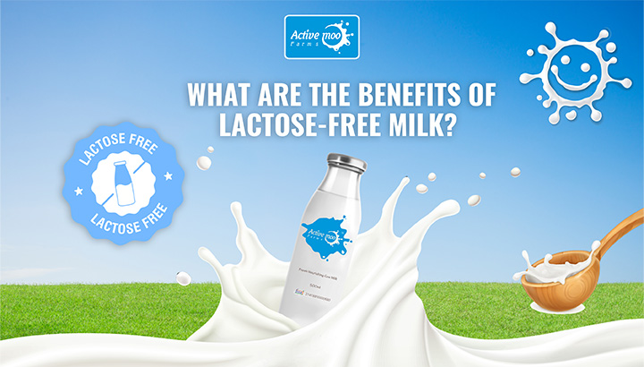 Benefits Of Lactose-Free Milk
