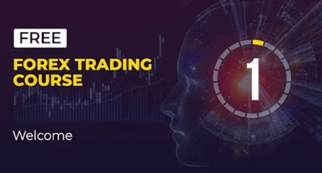 Forex Trading Course: