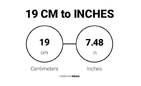 19 cm in inches