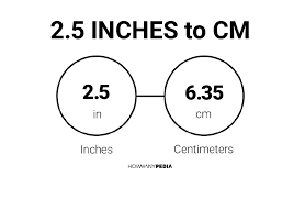 2.5 in to cm