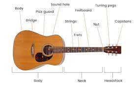 https://www.soundpure.com/a/expert-advice/guitars/parts-of-an-acoustic-guitar/